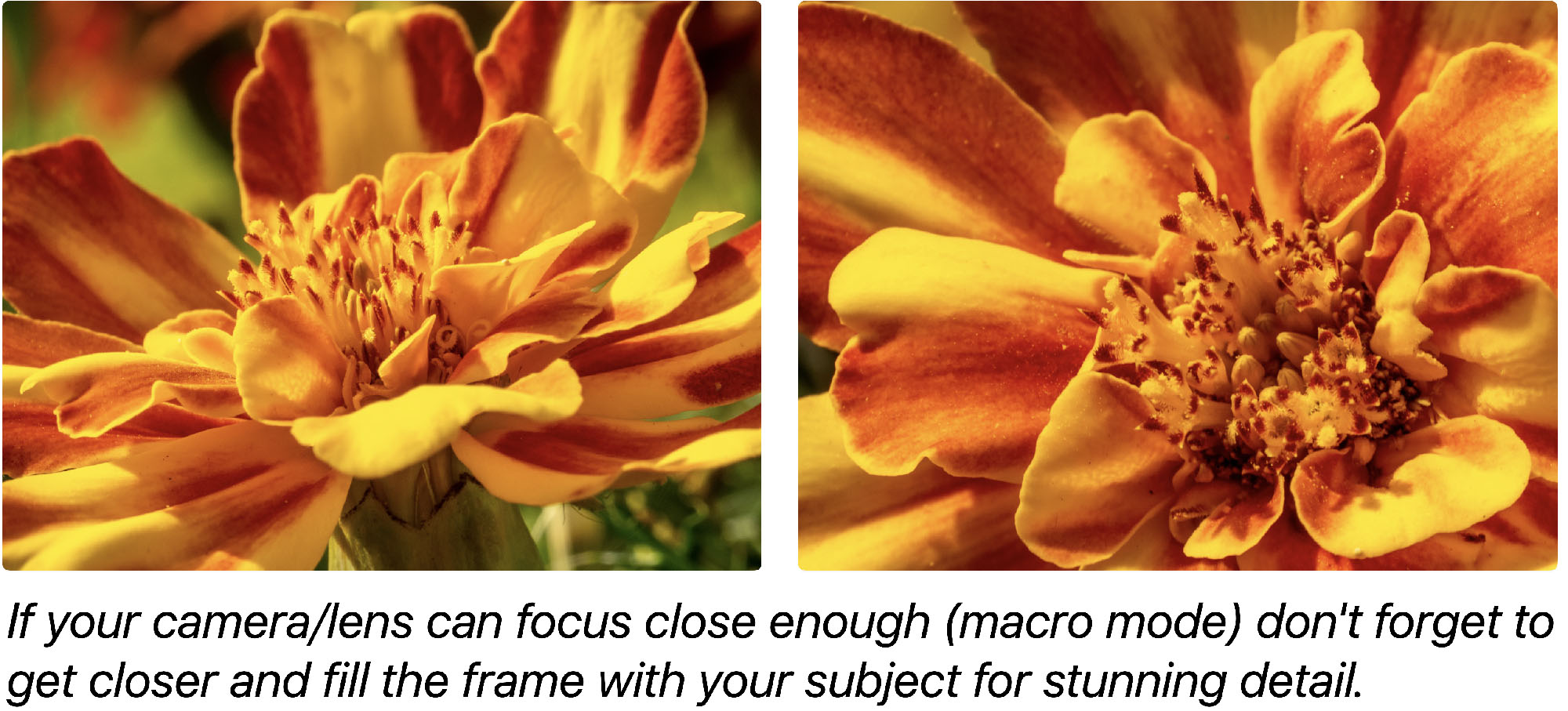 Use a macro lens, or marco mode to focus on the detail.