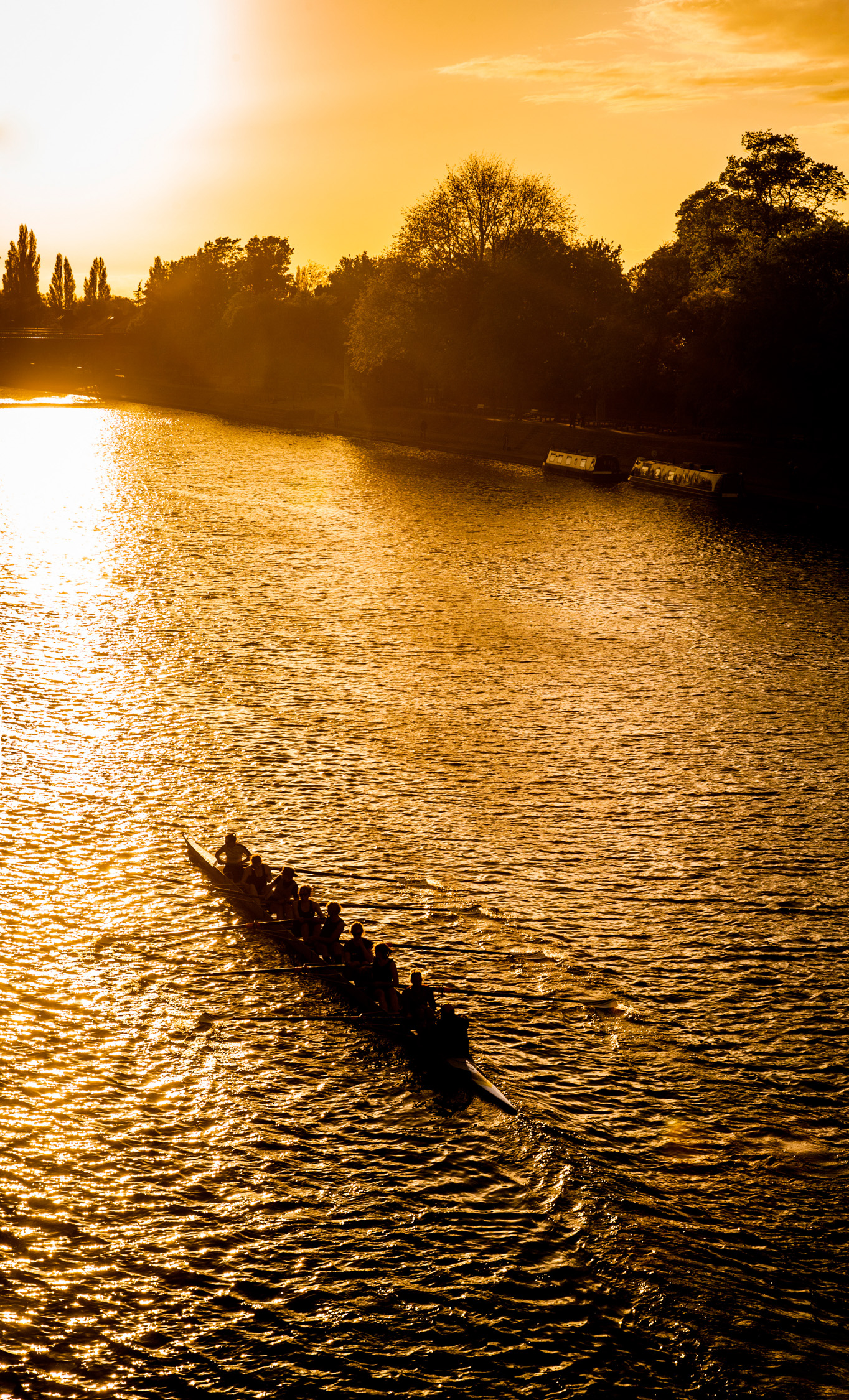 High contrast image which requires manual mode to allow you to achieve the shot you envisioned.