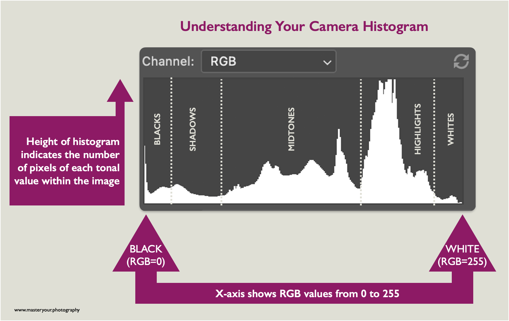 Demonstrating camera histograms.