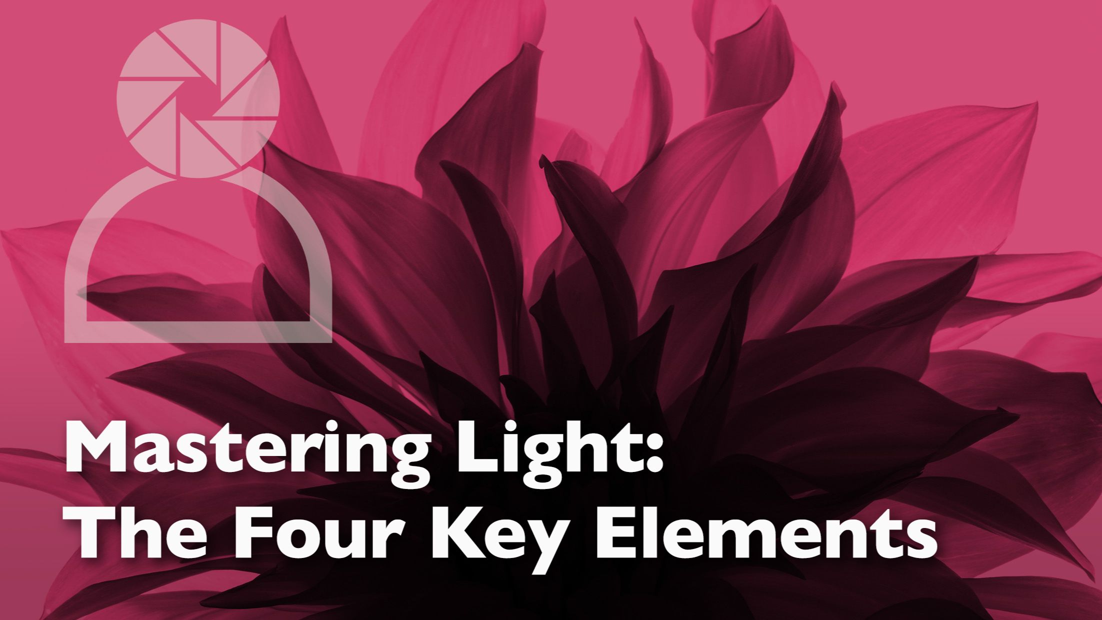 header graphic for a blog post to help photographers understand the four elements of light: intensity, quality, direction and colour