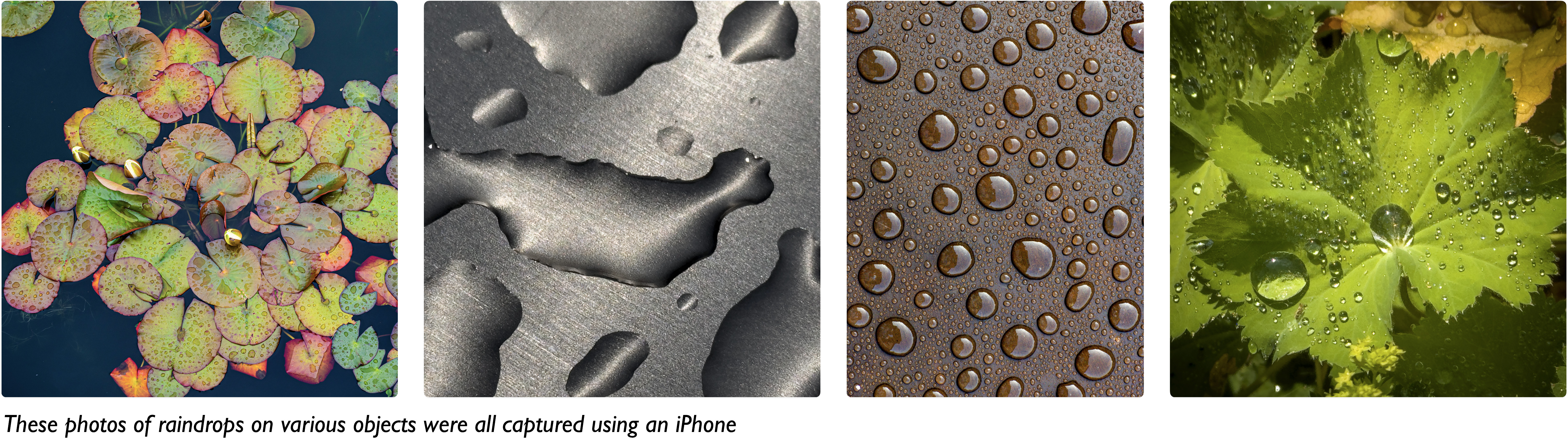 Using a smart phone in rain to capture water droplets.