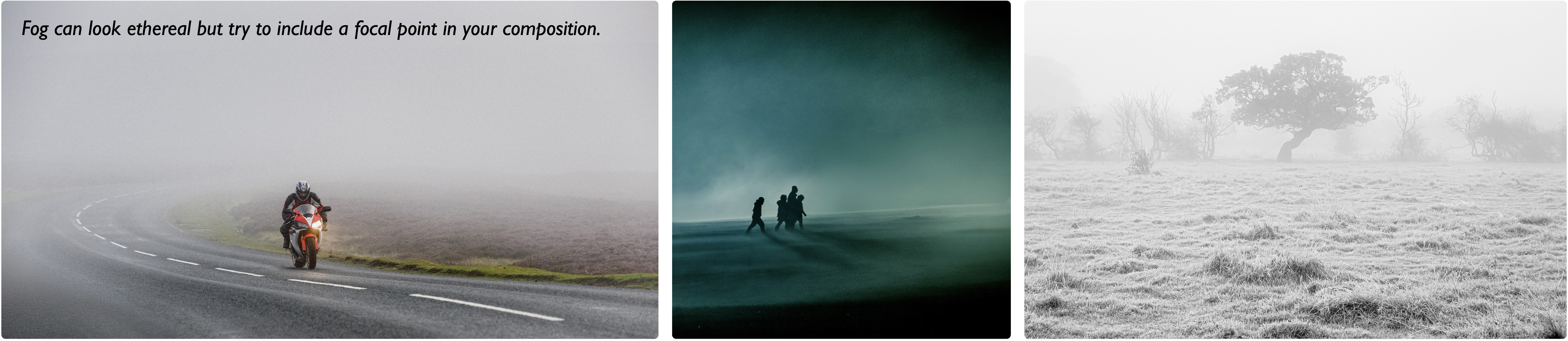 Fog photography.